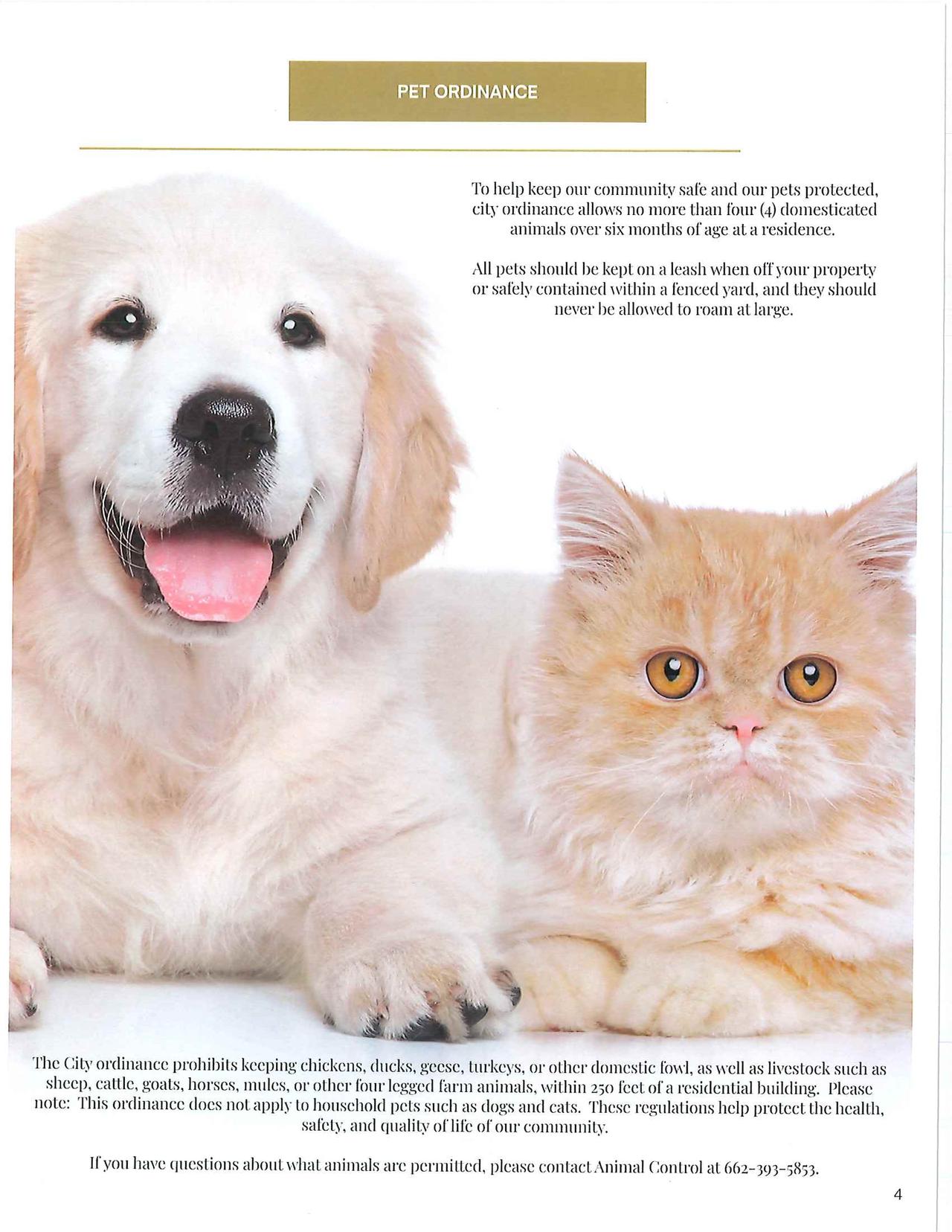 Volume 2 Newsletter - 2026 003_Page_04_1280