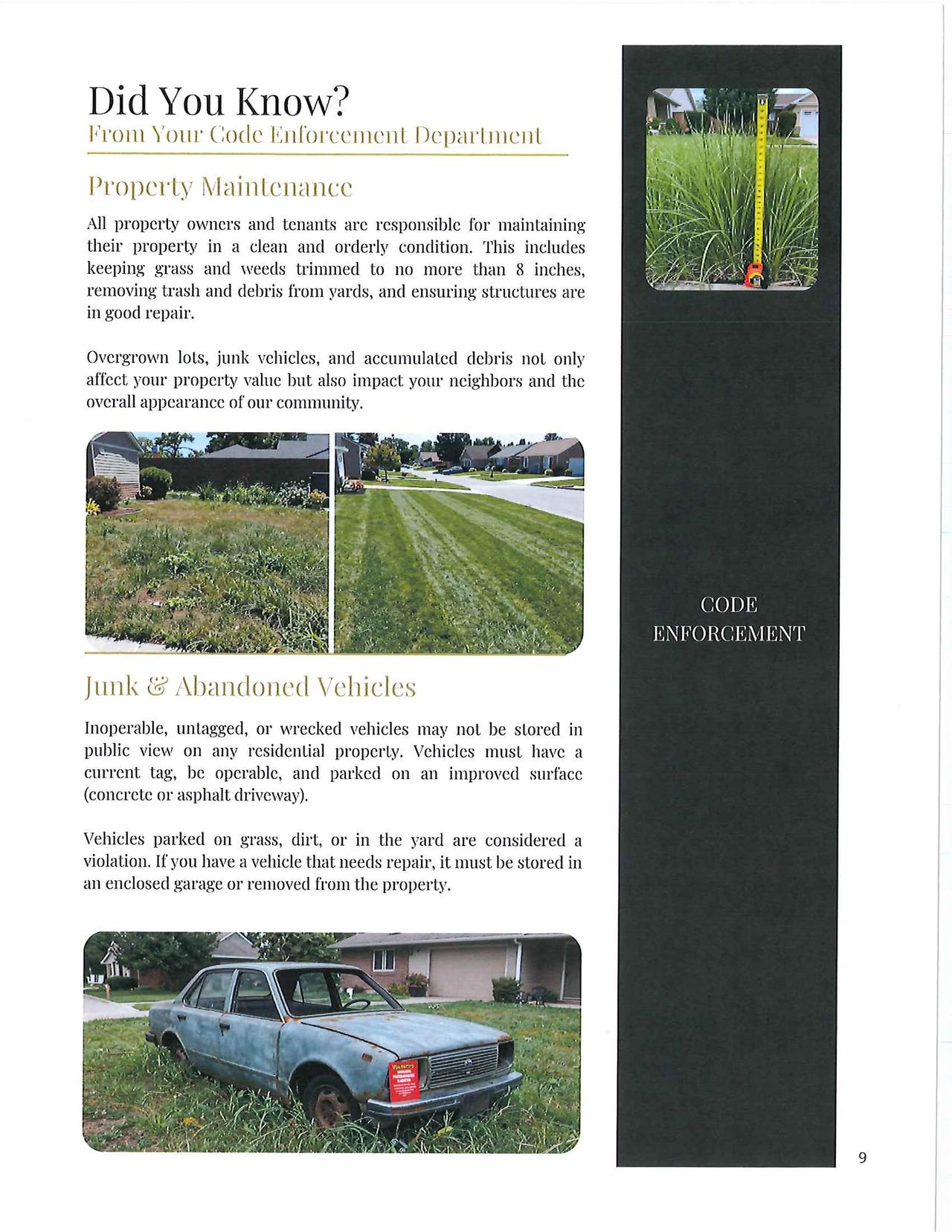 Volume 2 Newsletter - 2026 003_Page_09_1280